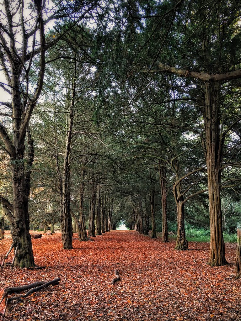 parco di Ickworth house