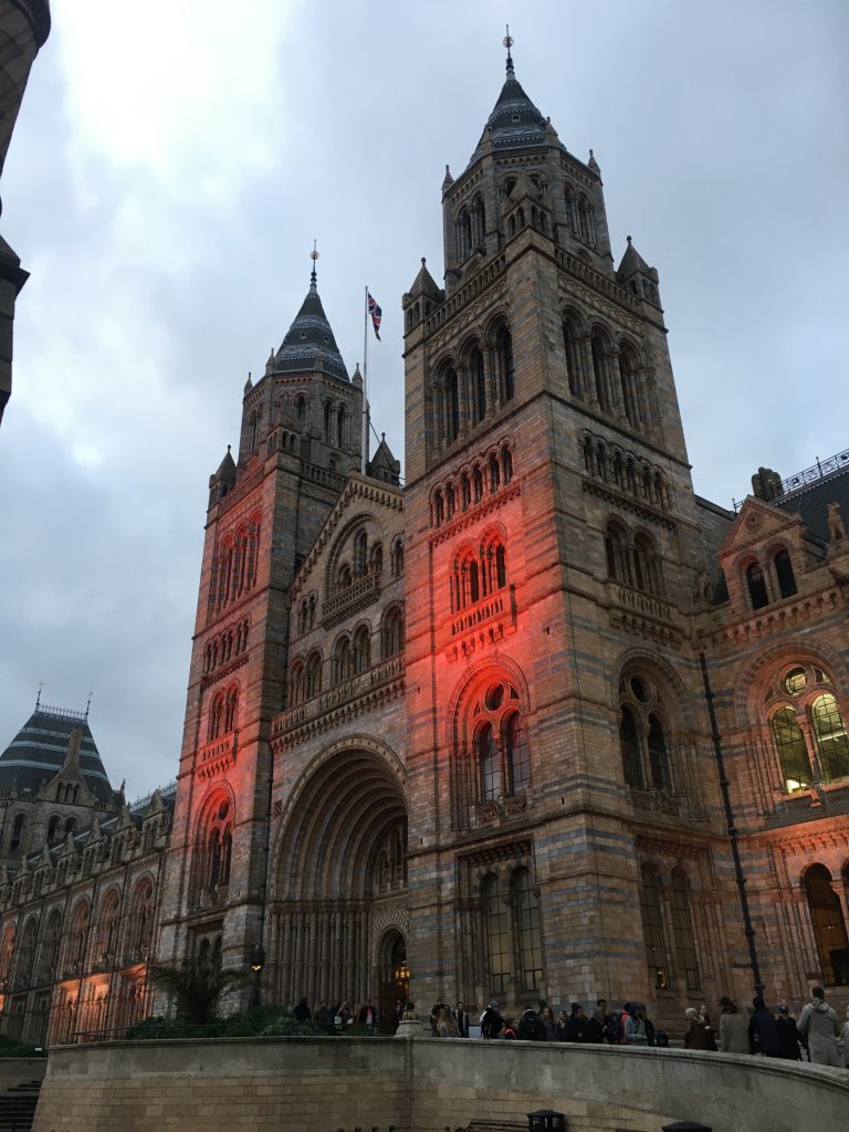 l'imponente facciata del national history museum di Londra