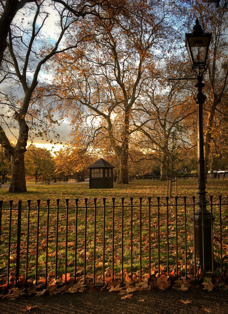 Consigli per ogni mese: i parchi di Londra.