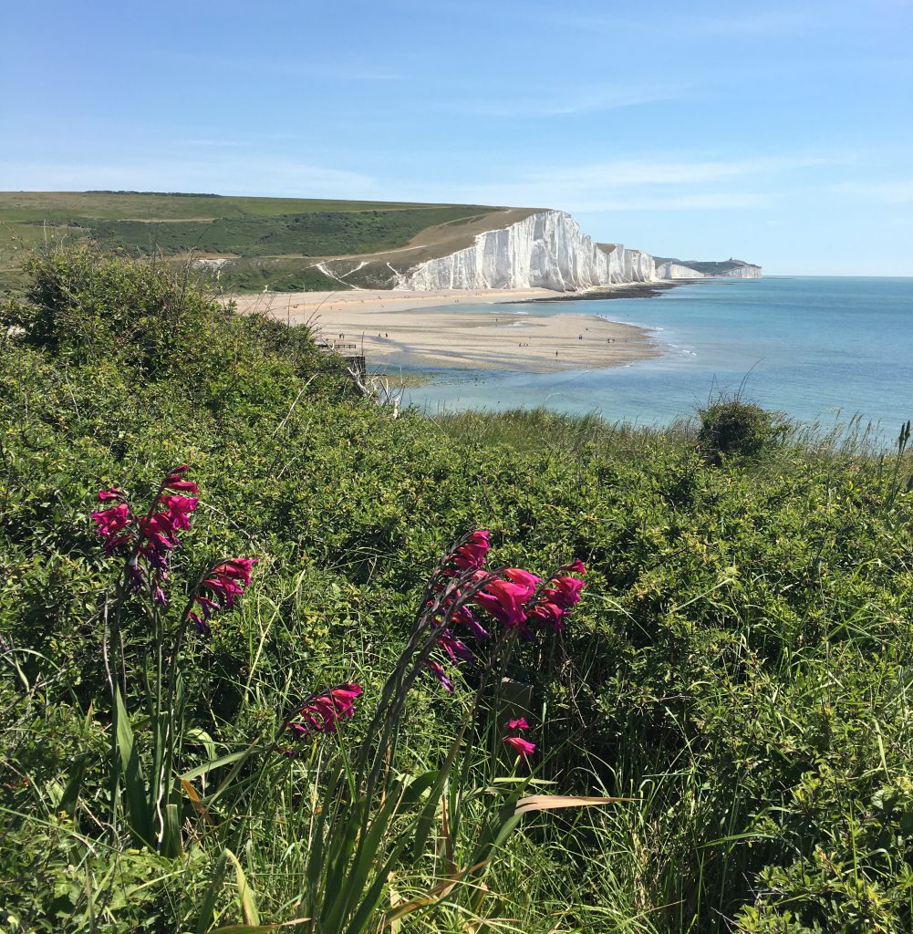 Seven Sisters 