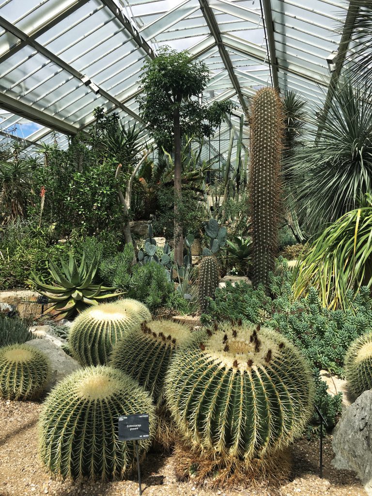 Princess of Wales Conservatory