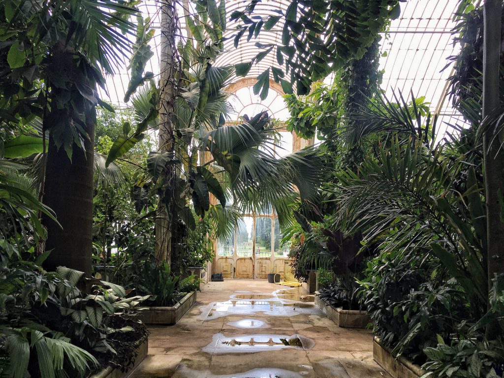 Temperate House ai Kew Gardens di Londra