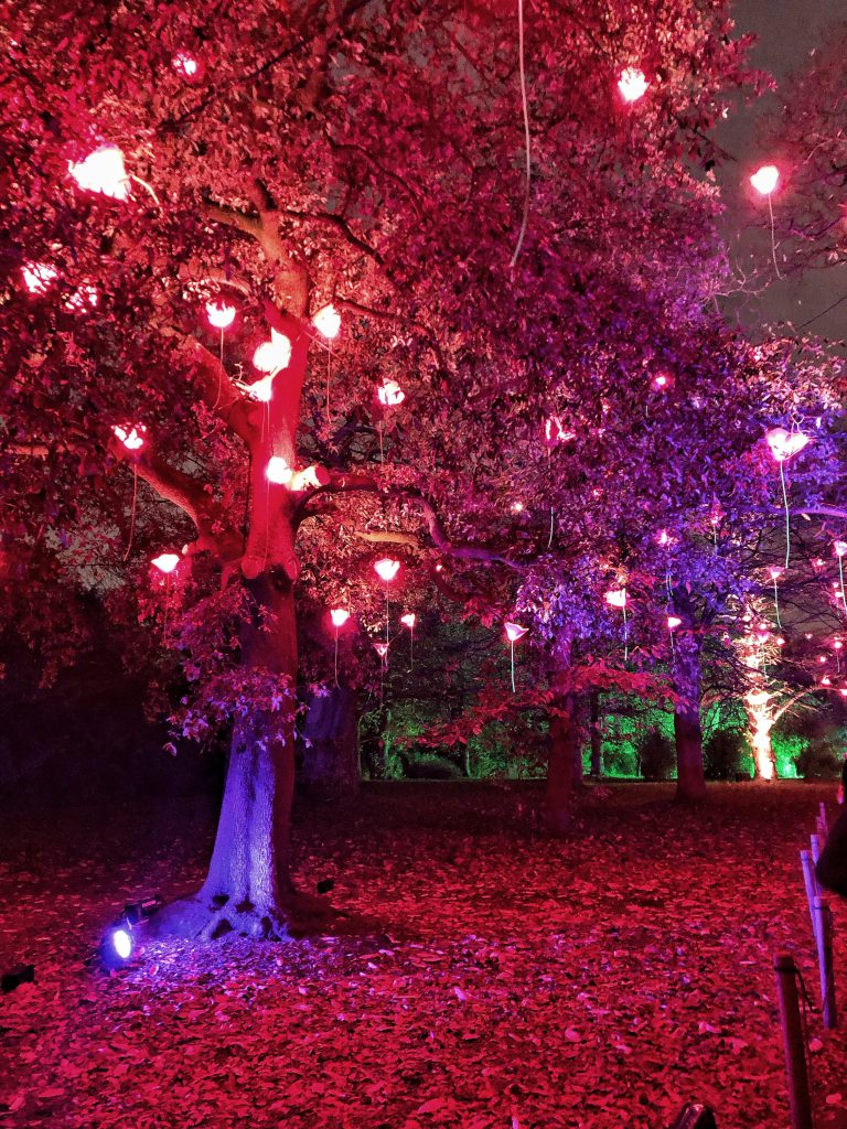 la magia del Natale ai Kew Gardens di Londra