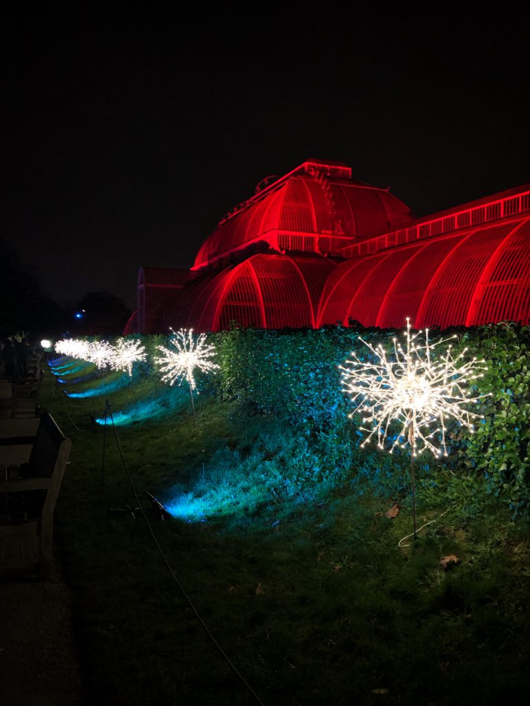 I giardini Botanici di Kew a Natale si illuminano