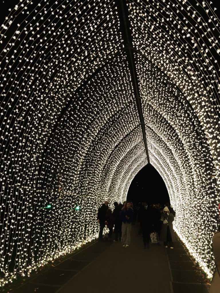 Christmas at Kew 2022
